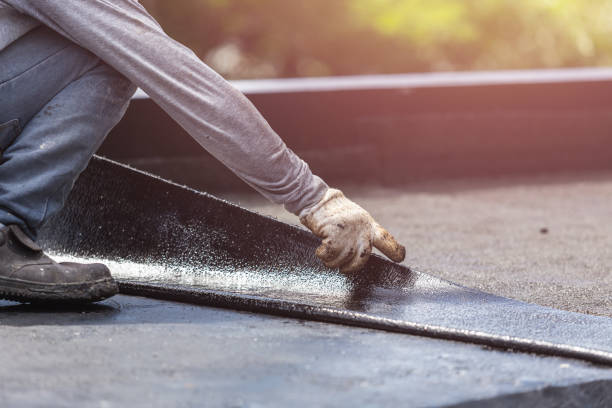 Professional Interior Drainage System technician working in Lodi, OH